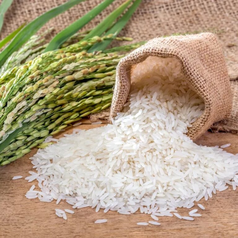 Économie: le riz et le blé mettent le Cameroun à genoux.
