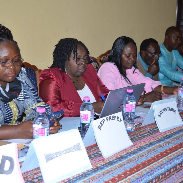 Budget d’investissement public: timide exécution dans la Menoua en ce début d’exercice 2025.