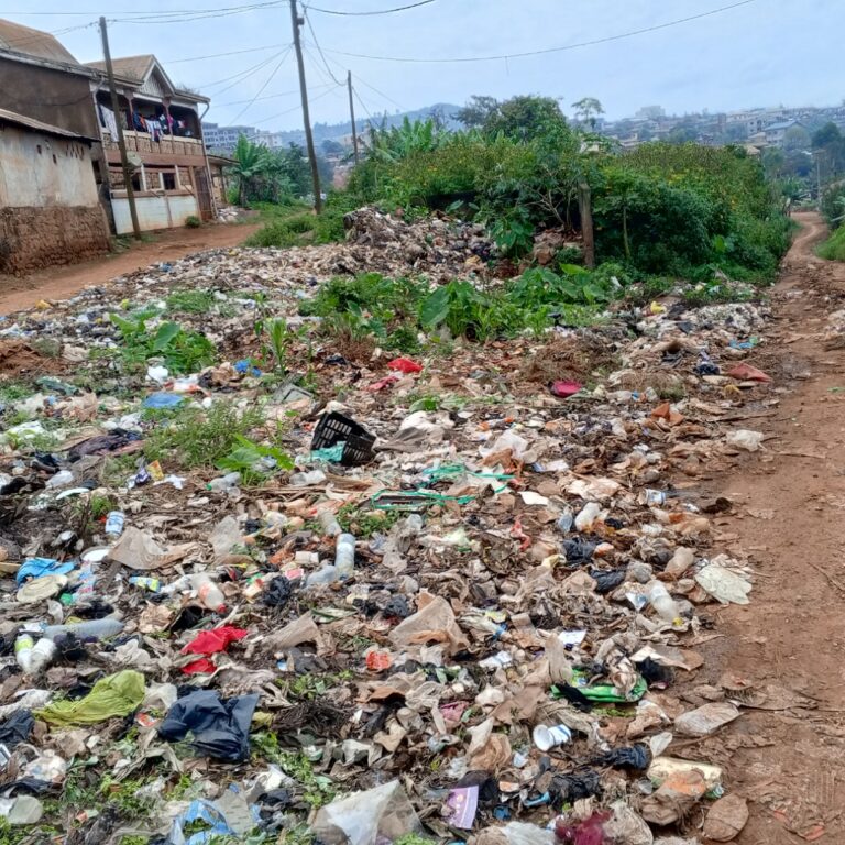 Dschang: le spectre d&rsquo;une ville poubelle jadis « modèle »
