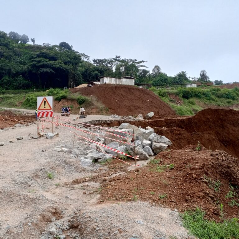 Falaise de DSCHANG : un an de tâtonnement ?