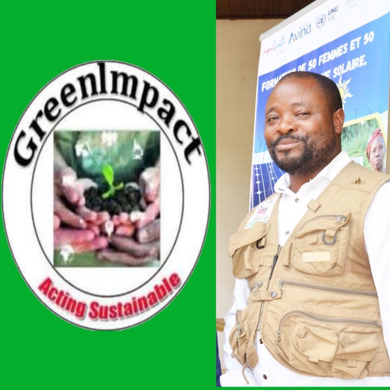 Énergie photovoltaïque: l&rsquo;association Green Impact rêve grand pour la Menoua