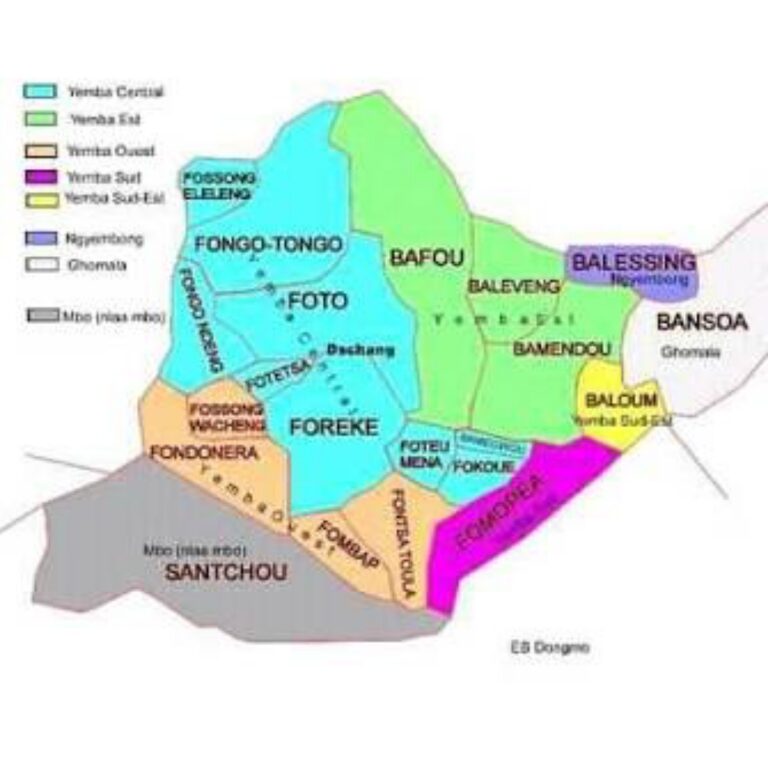 Exécution du BIP 2026: les grands défis à relever  dans la Menoua.
